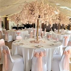 A Bronze pink blossom tree package