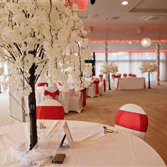 A Bronze White Blossom Trees package 