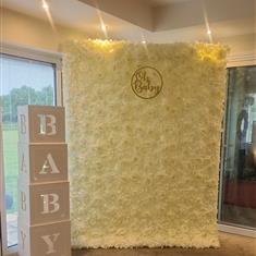 Oh baby basic package 