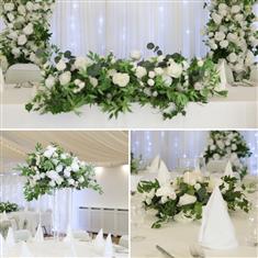 The Willow Collection 