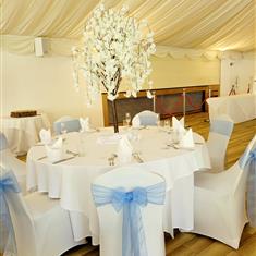 B Silver cream blossom tree package 